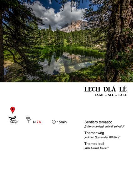 Sentiero tematico "Sulle orme degli animali selvatici"